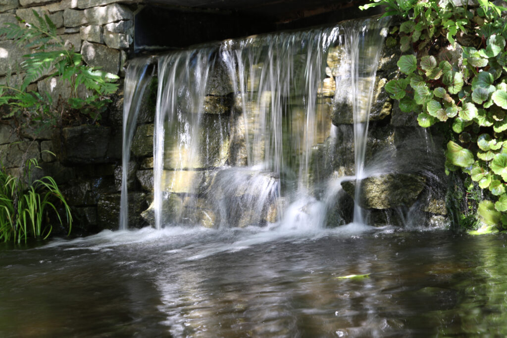 JC Raulston Arboretum